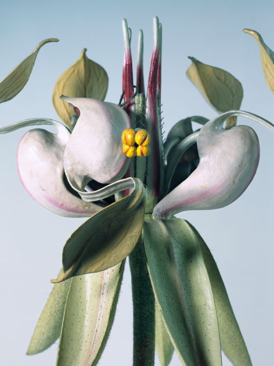 15_FLOWER_POWER_04.jpg